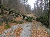 18th hairpin turn of road on Strma Reber - Cerk